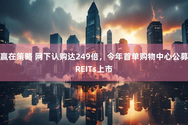 赢在策略 网下认购达249倍，今年首单购物中心公募REITs上市