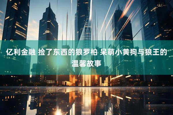 亿利金融 捡了东西的狼罗柏 呆萌小黄狗与狼王的温馨故事