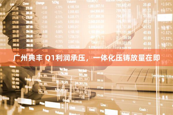 广州典丰 Q1利润承压，一体化压铸放量在即