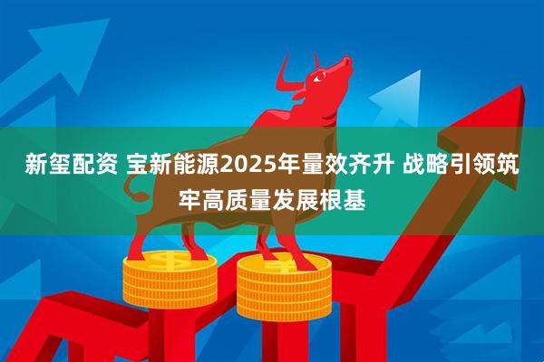 新玺配资 宝新能源2025年量效齐升 战略引领筑牢高质量发展根基